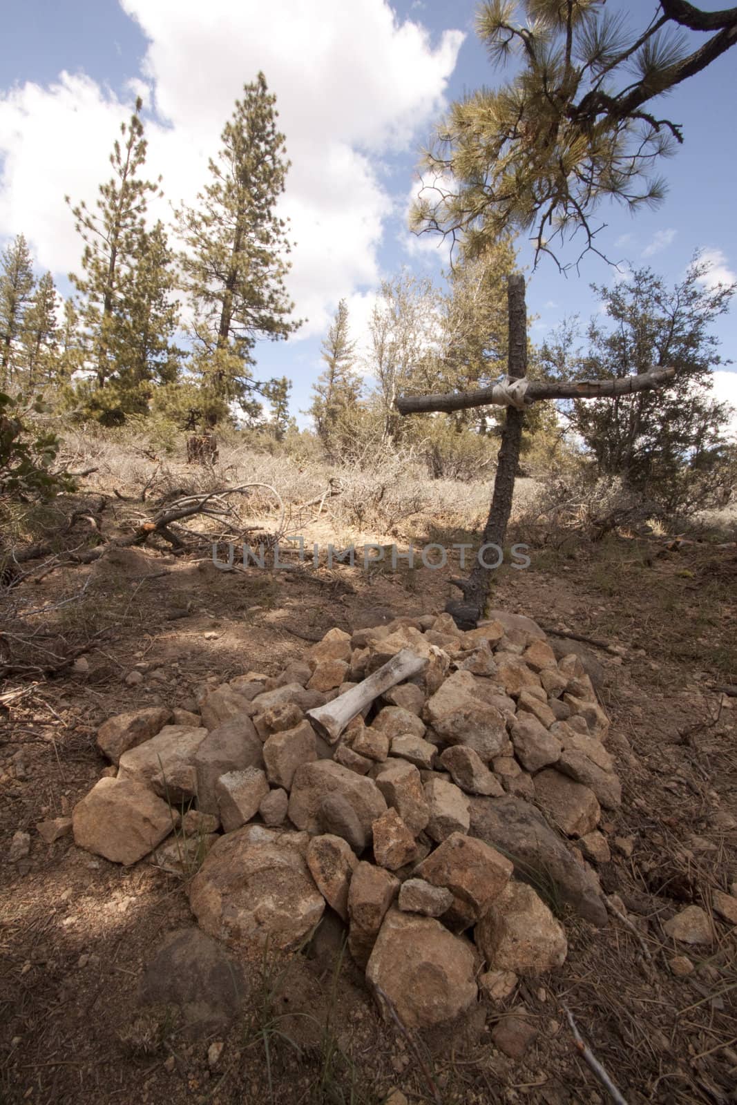 old cemetery in the forest with a wood cross