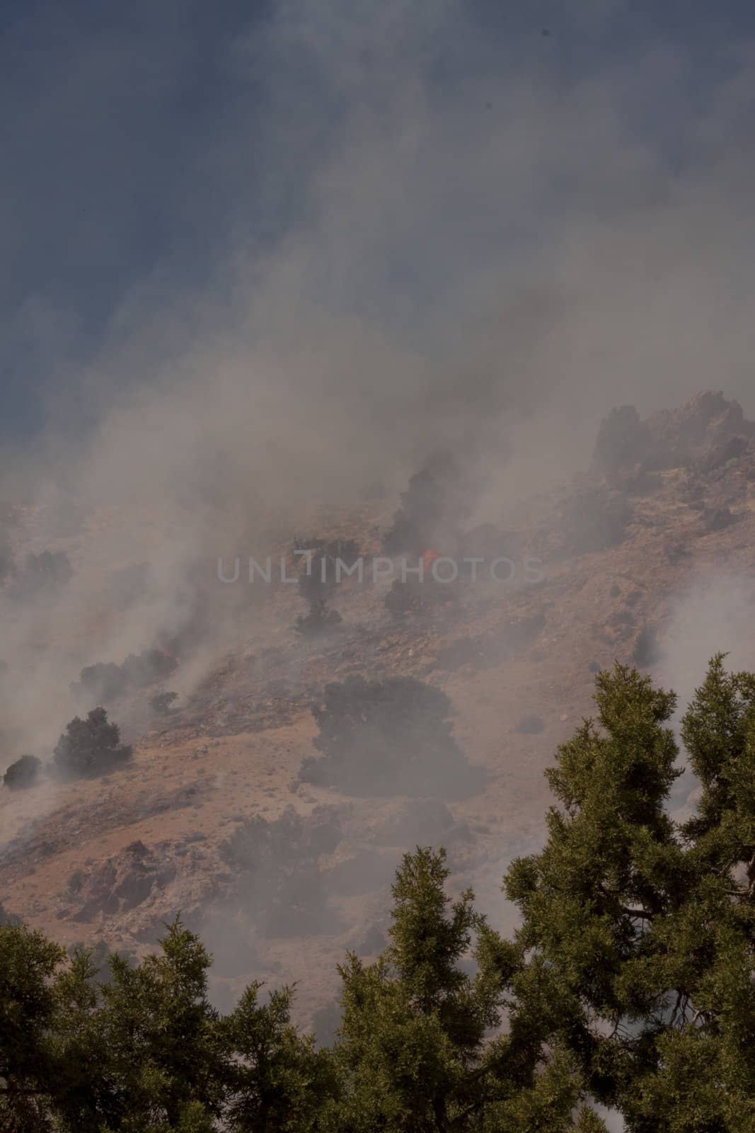 Desert fire with burning bushes and brush