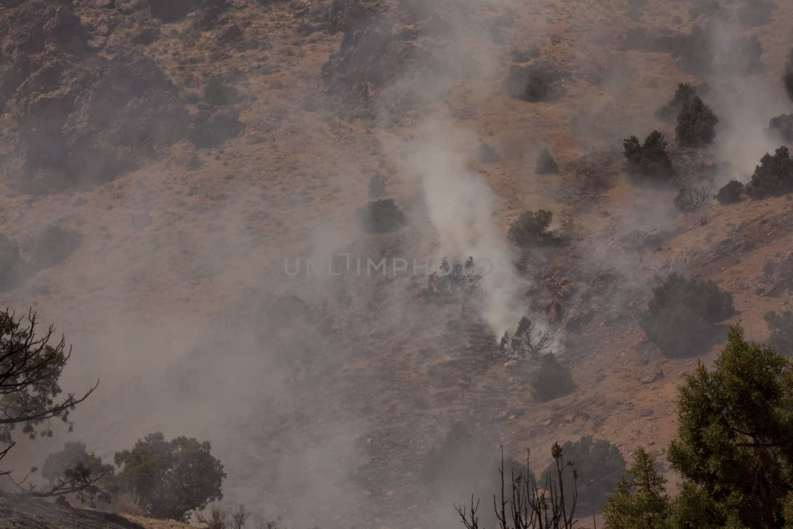 Desert fire with burning bushes and brush