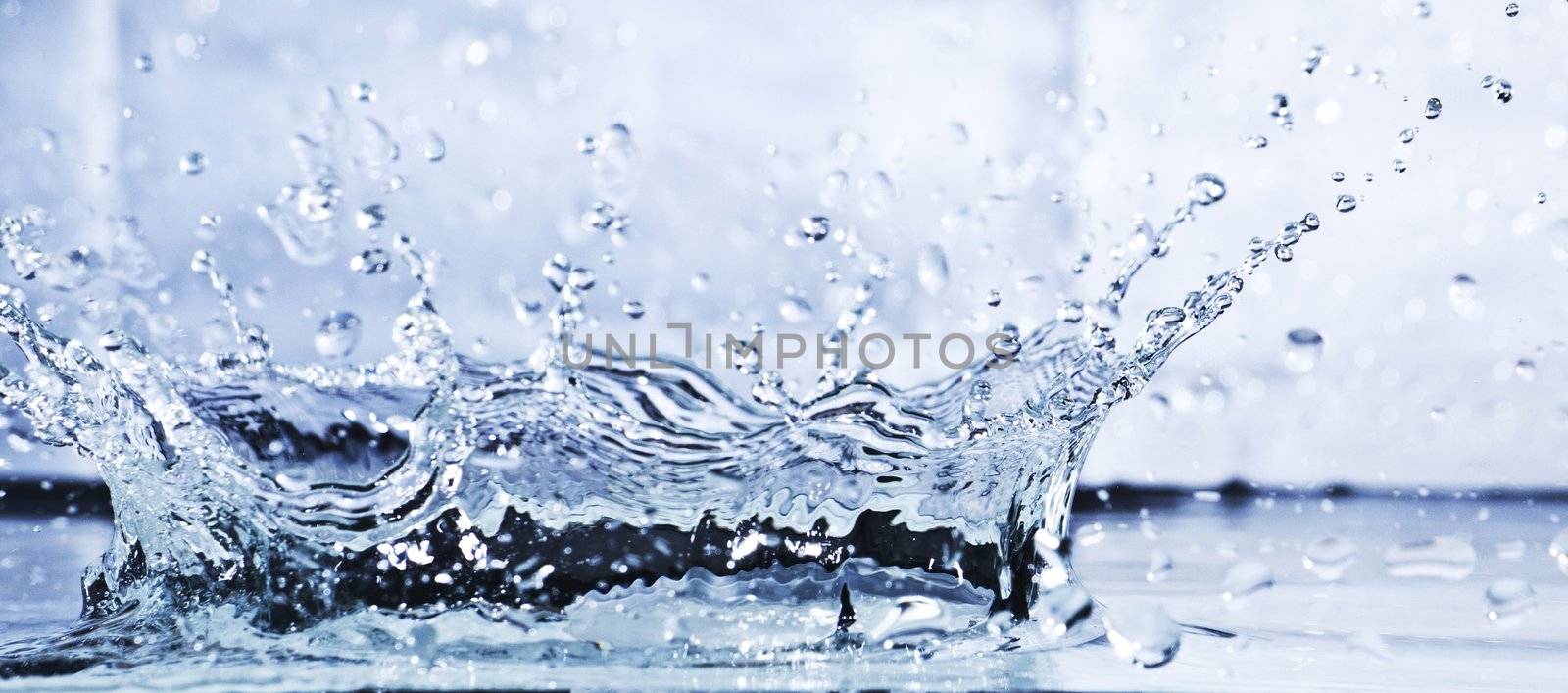 water splash isolated on white by ozaiachin