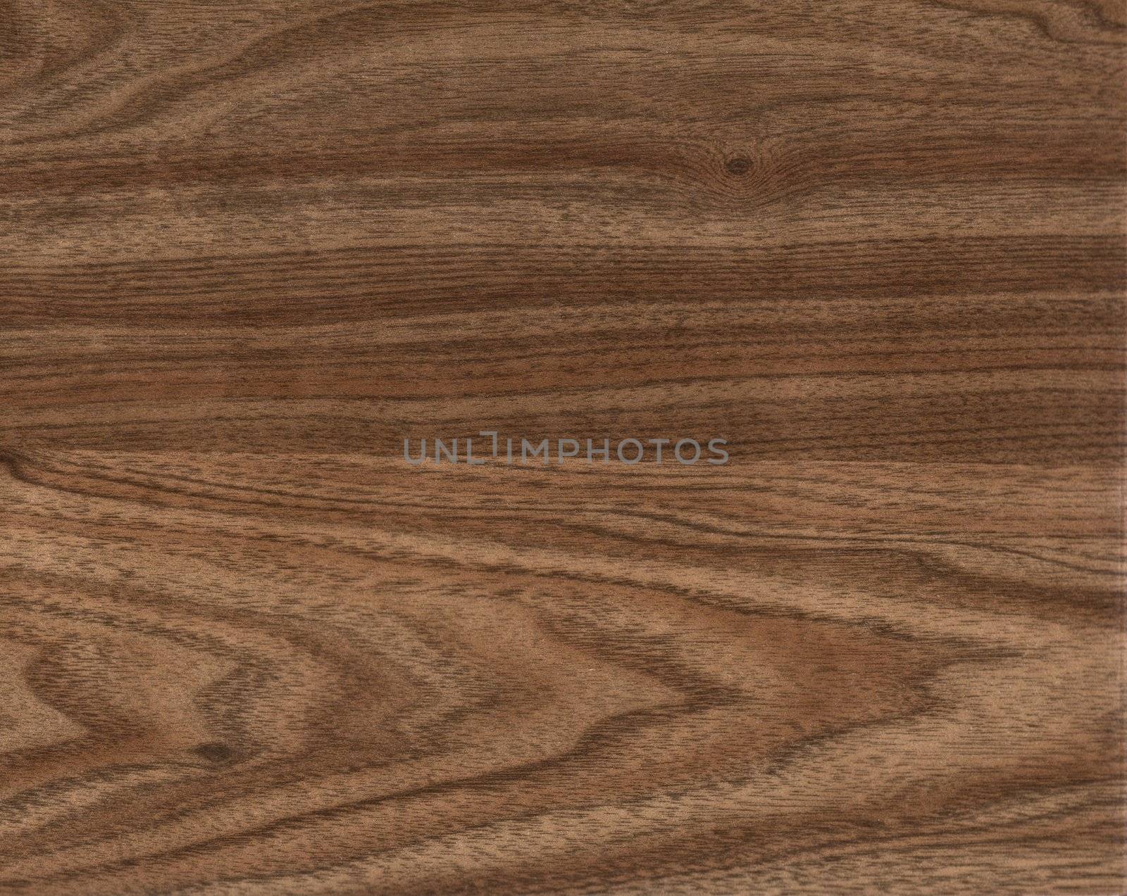 the brown wood texture with natural patterns