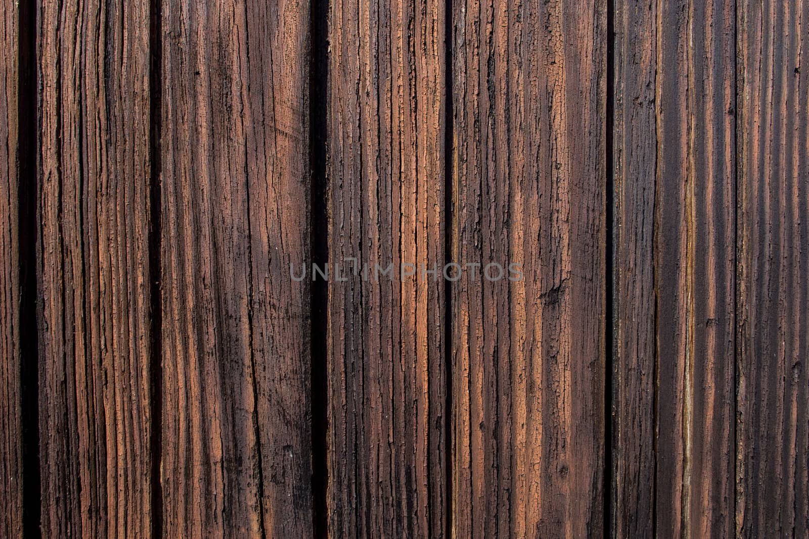 wood by africa