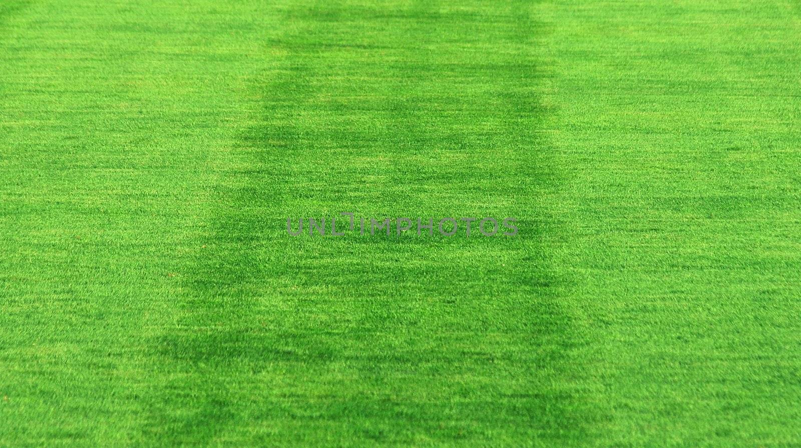 grass background by ozaiachin