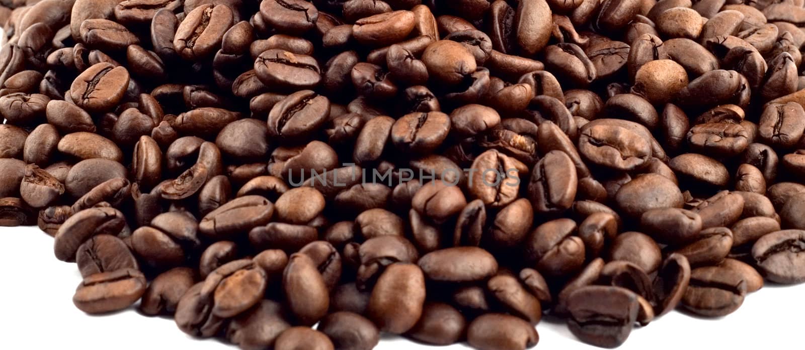 coffee bean isolated by ozaiachin