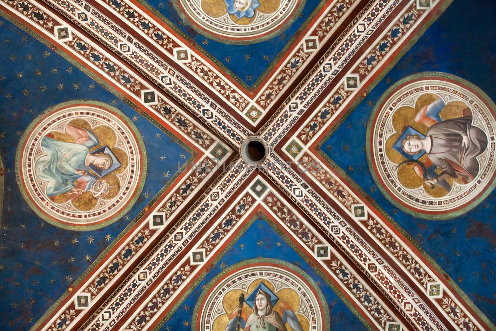 Florence -  Santa Croce: the Baroncelli Chapel. The ceiling in the Baroncelli Chapel.