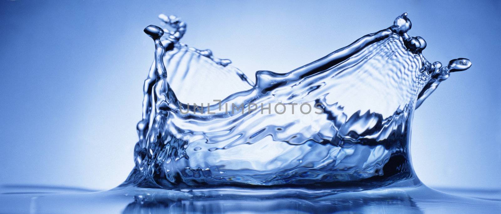water splash isolated on white close up