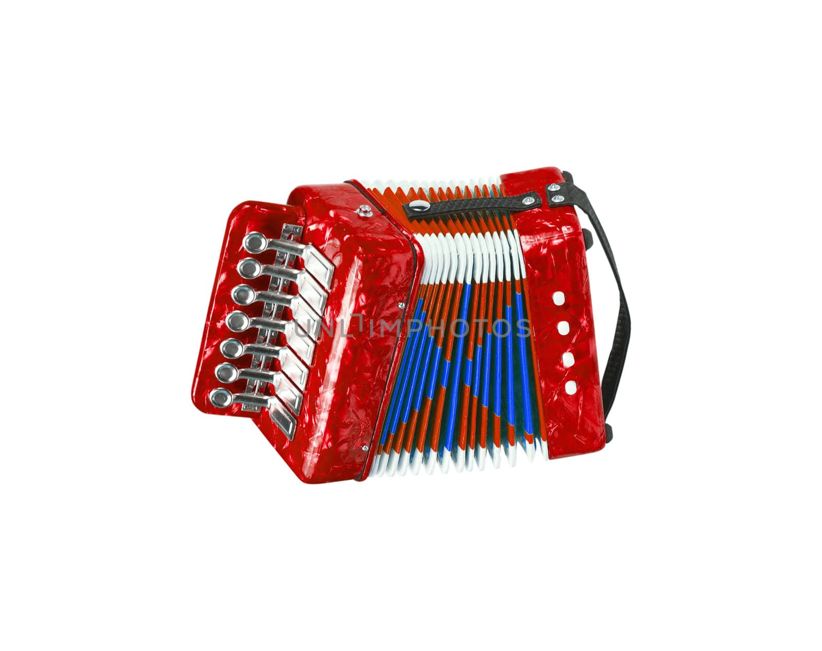 Red accordion isolated by ozaiachin