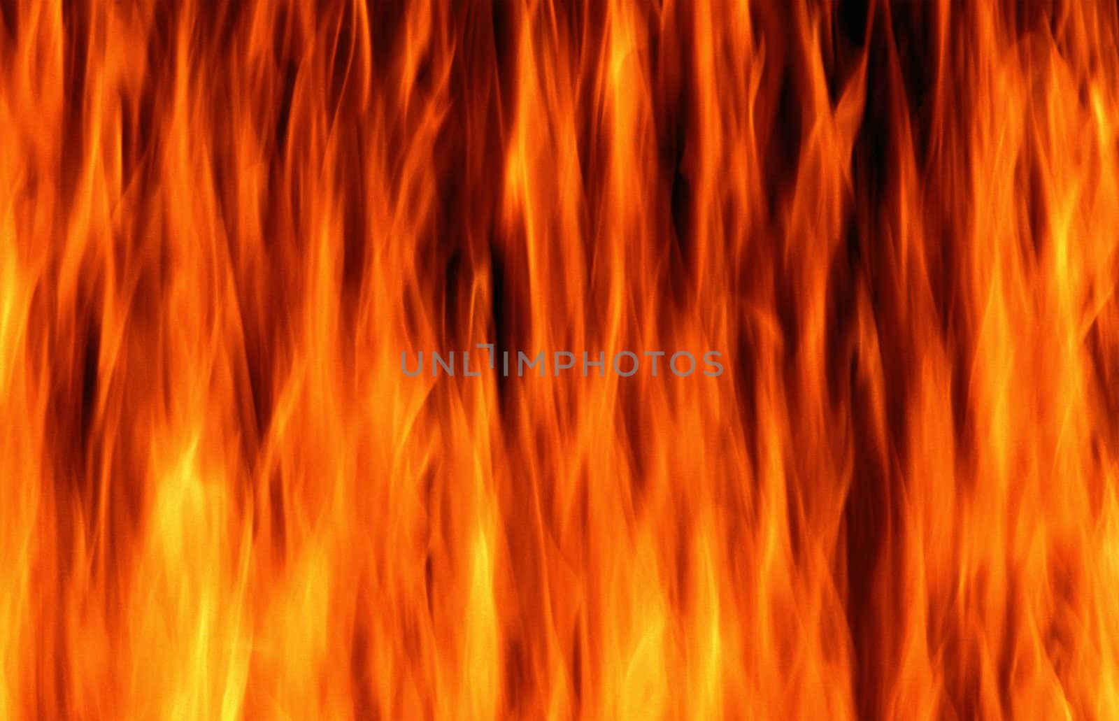 Close-up of fire and flames on a black background