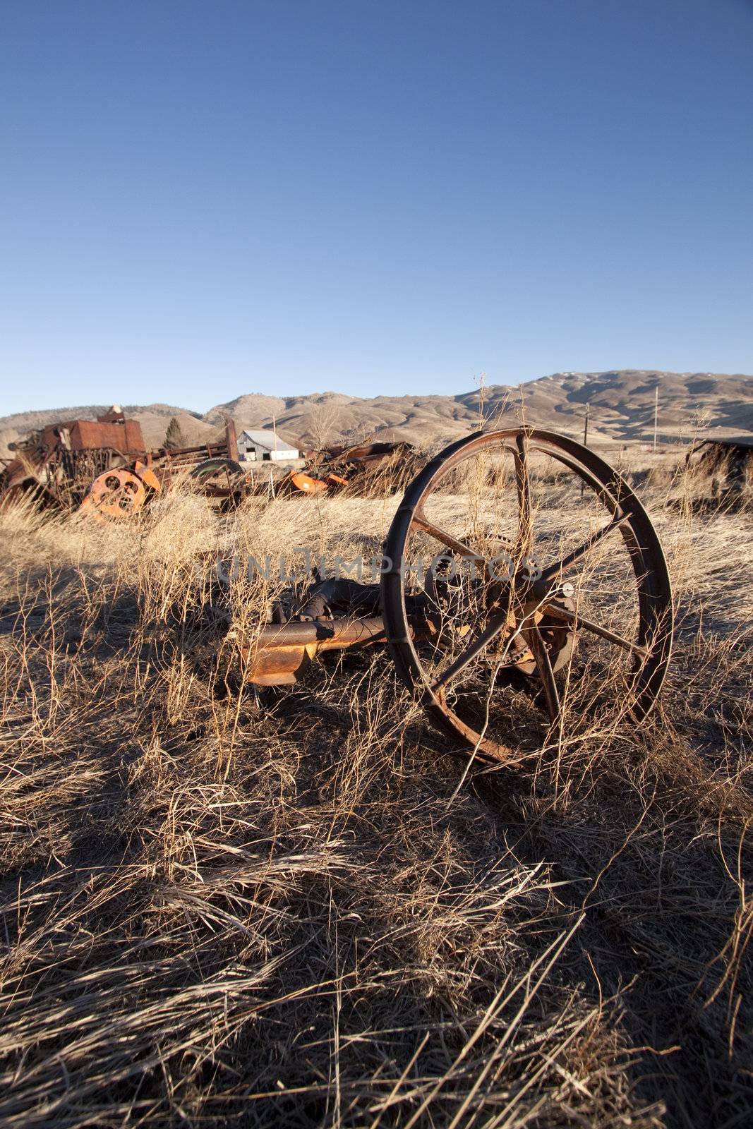 Old farm equipment in a field by jeremywhat