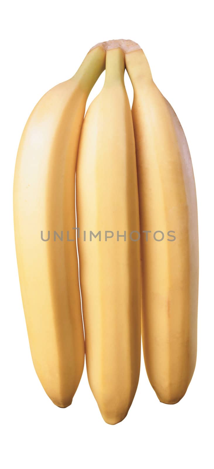 Three bananas, isolated on a white background