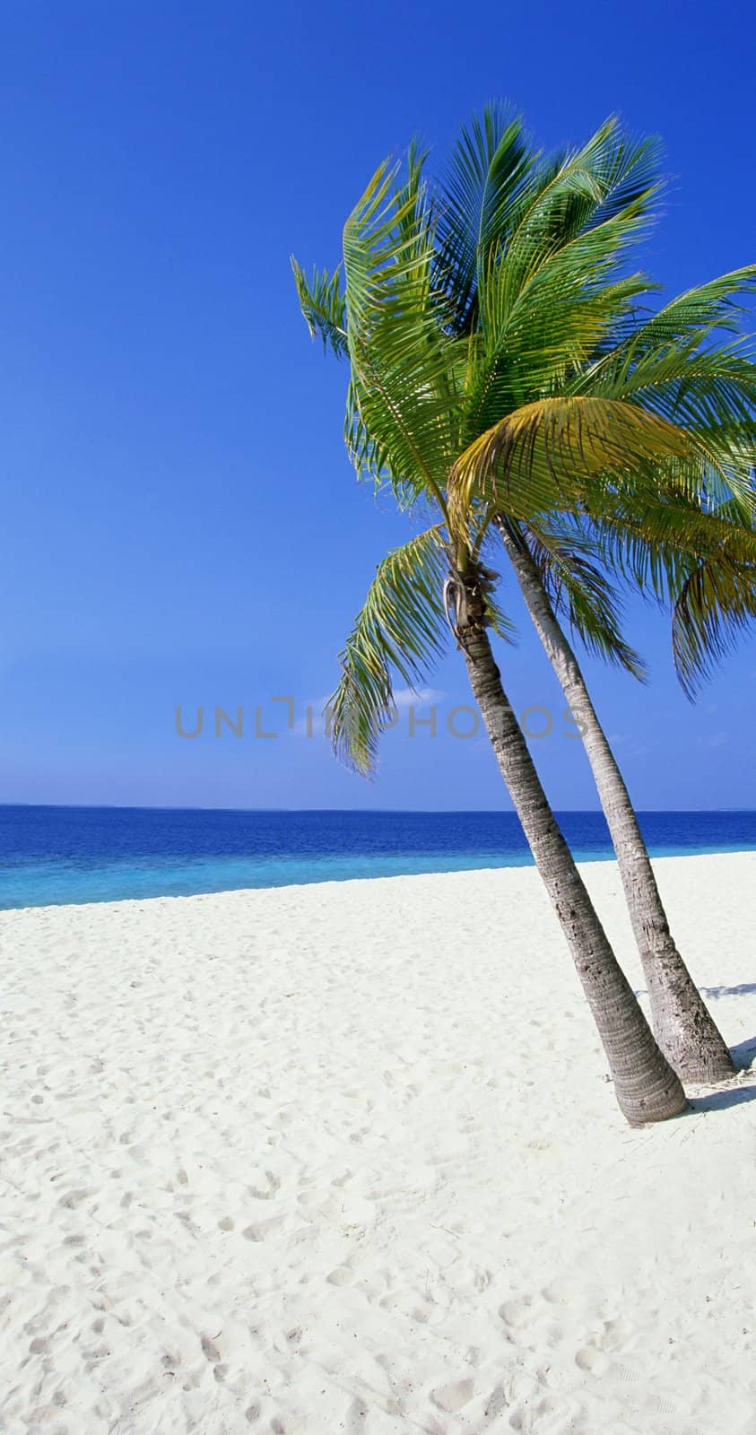 Landscape photo of tranquil island beach by ozaiachin