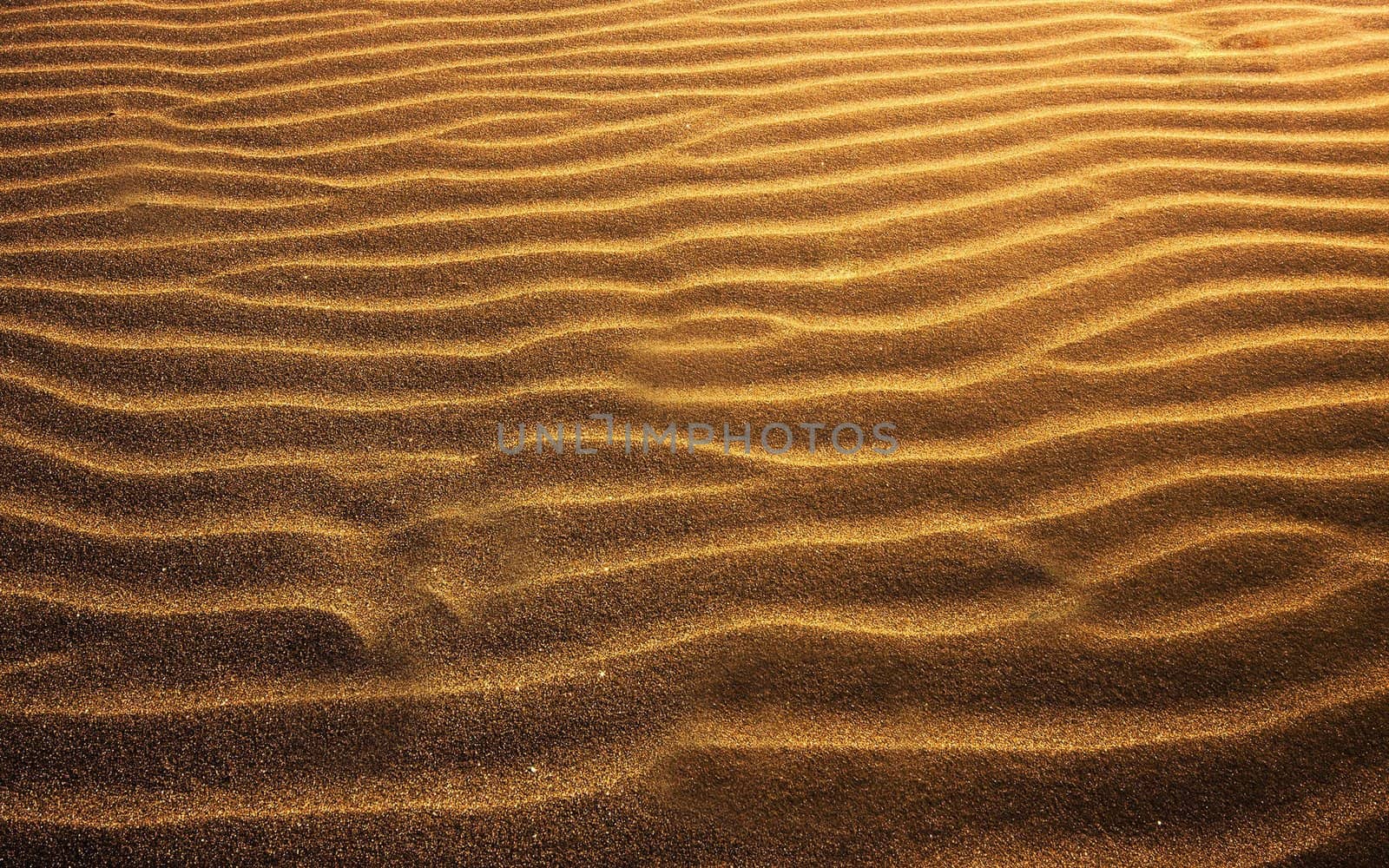 beach sand background close up on background