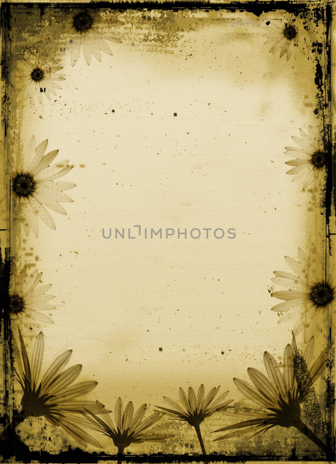 Flowers on grunge background