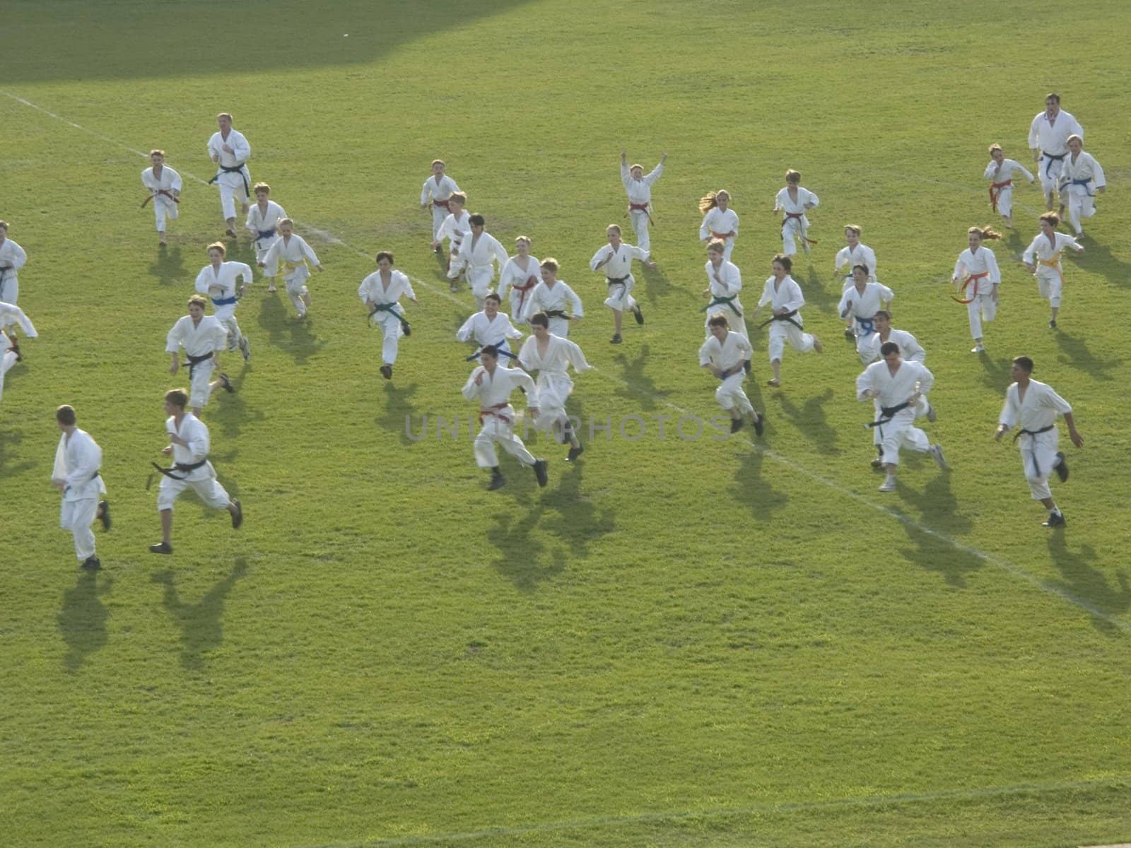 Exit on stadium of participants of demonstration performances of children's school of struggle
