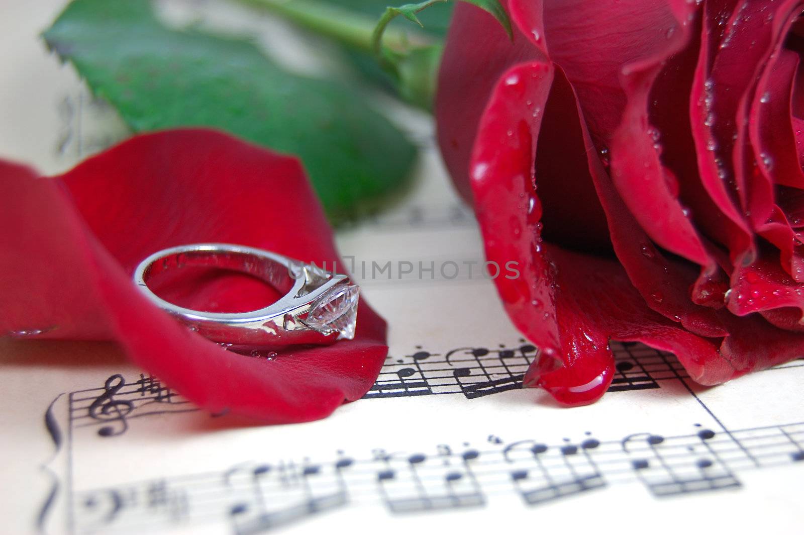 Red rose and its petals, ring on music sheet
