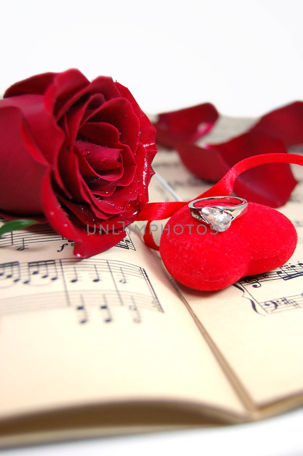 Red rose and petals on music sheet with fabric heart