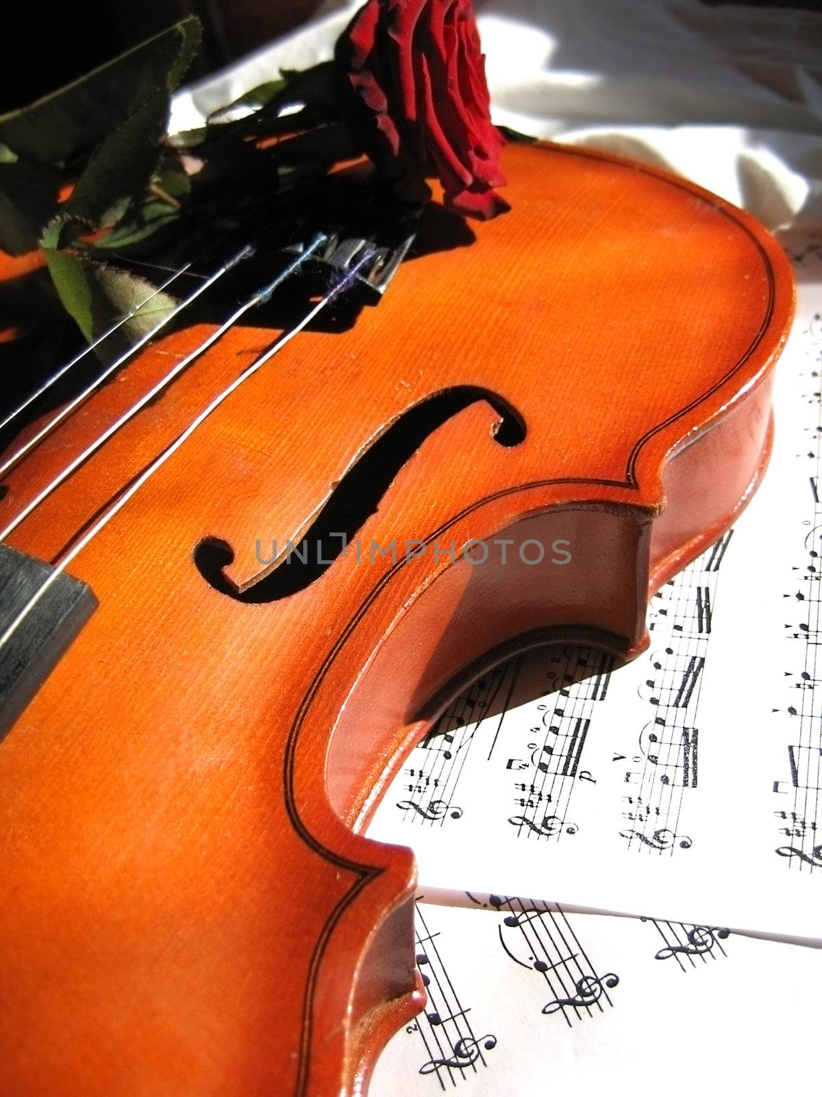 Violin om music sheet and red rose