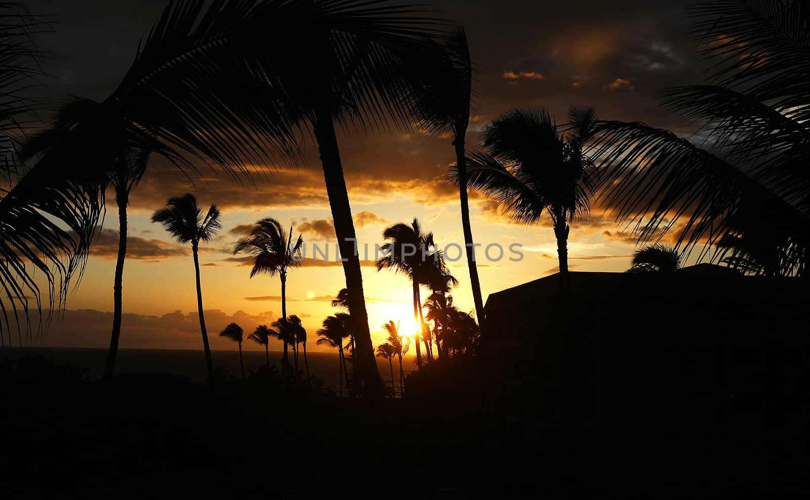 A sunset in Maui