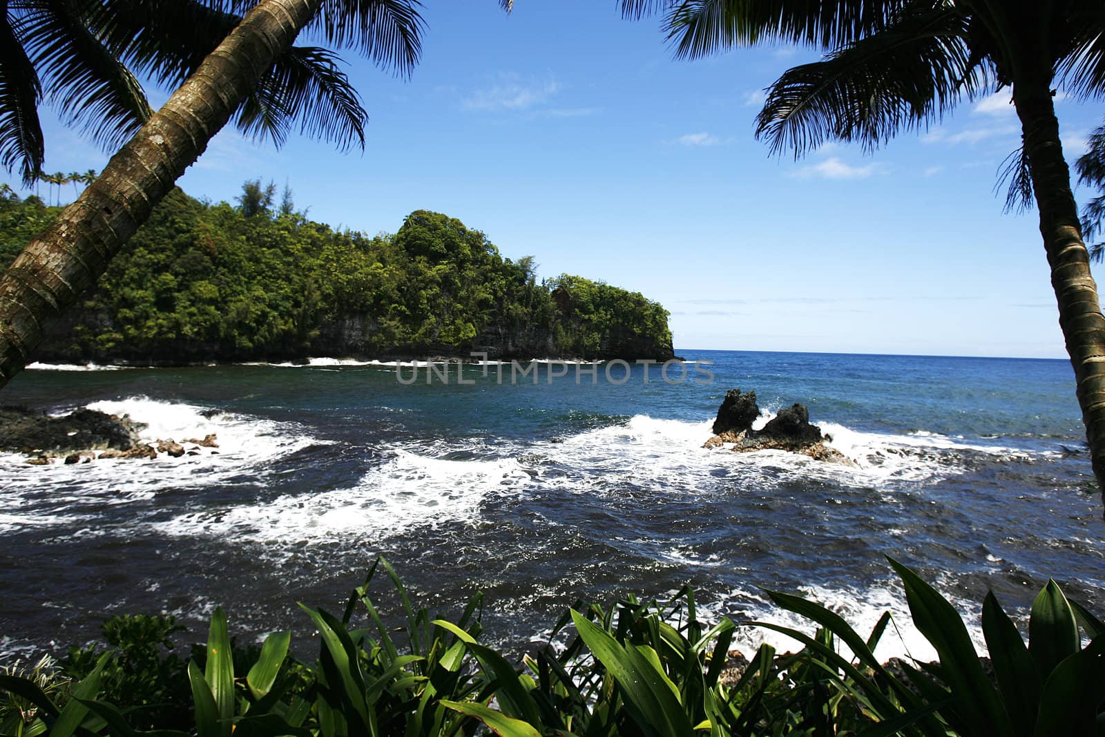 waves coming into a bay on Hawaii's big island.