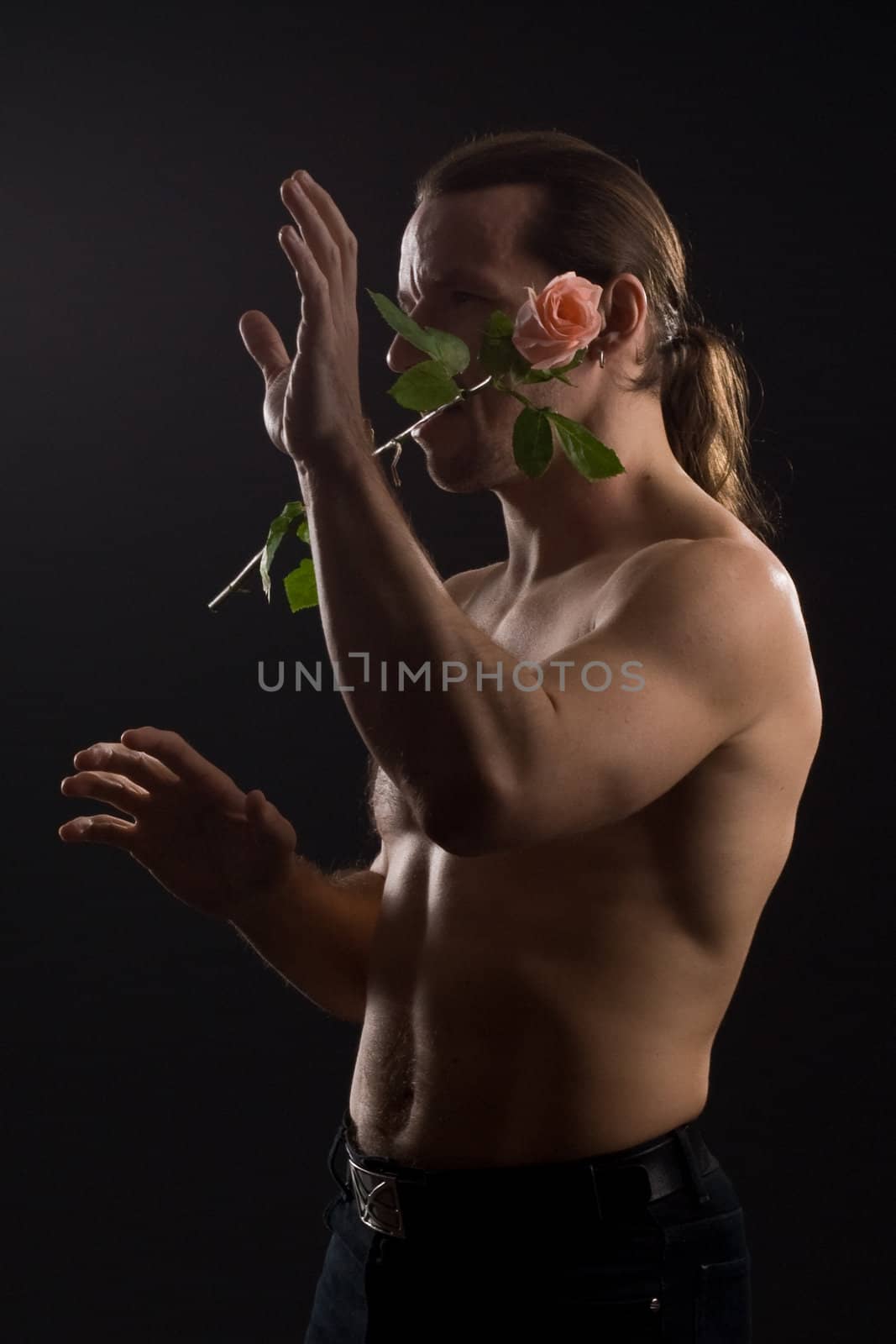 clambering romantic man with pink rose
