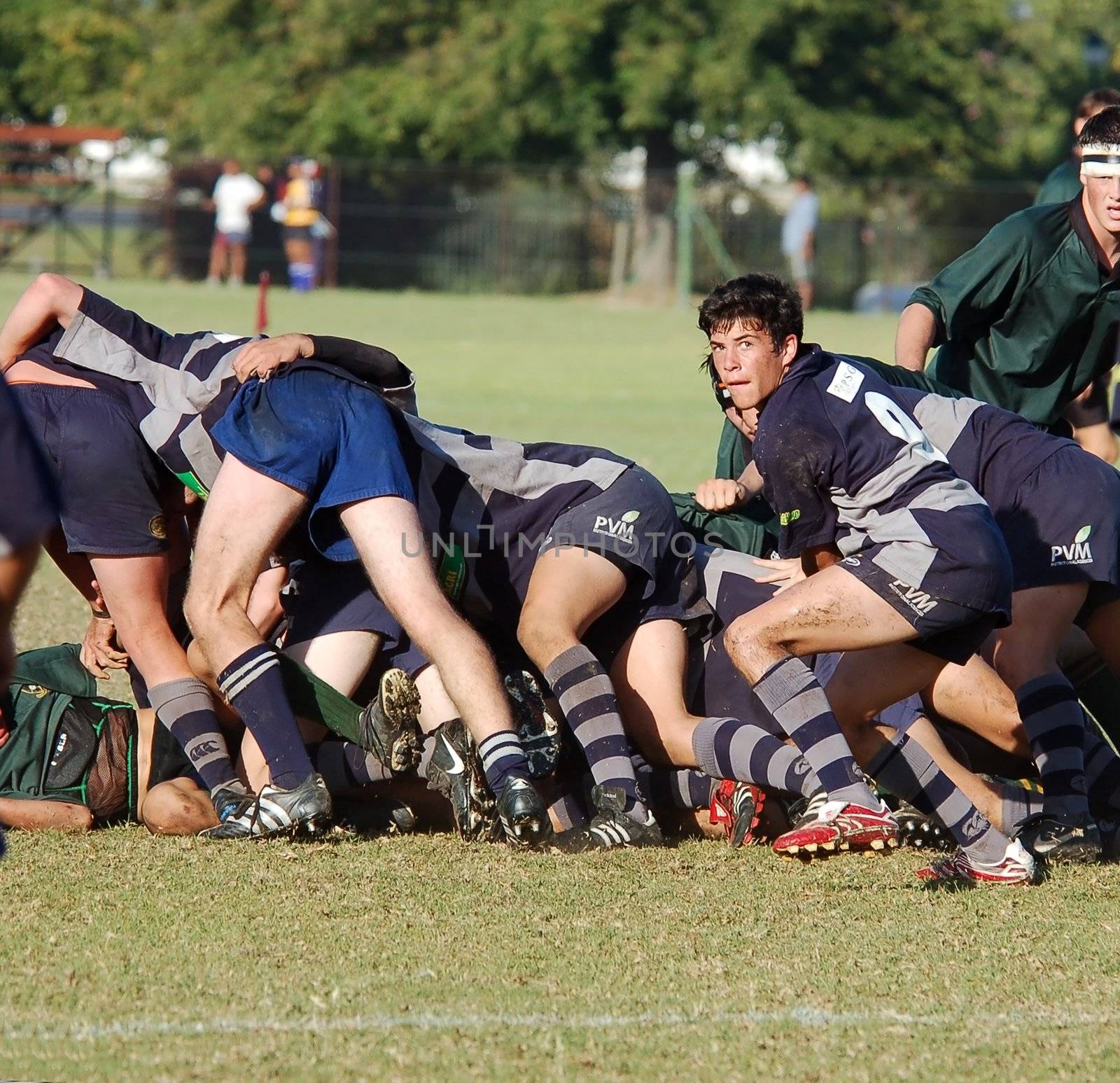 The scrumhalf to pass the ball  in a school rugby football match (Editorial)
