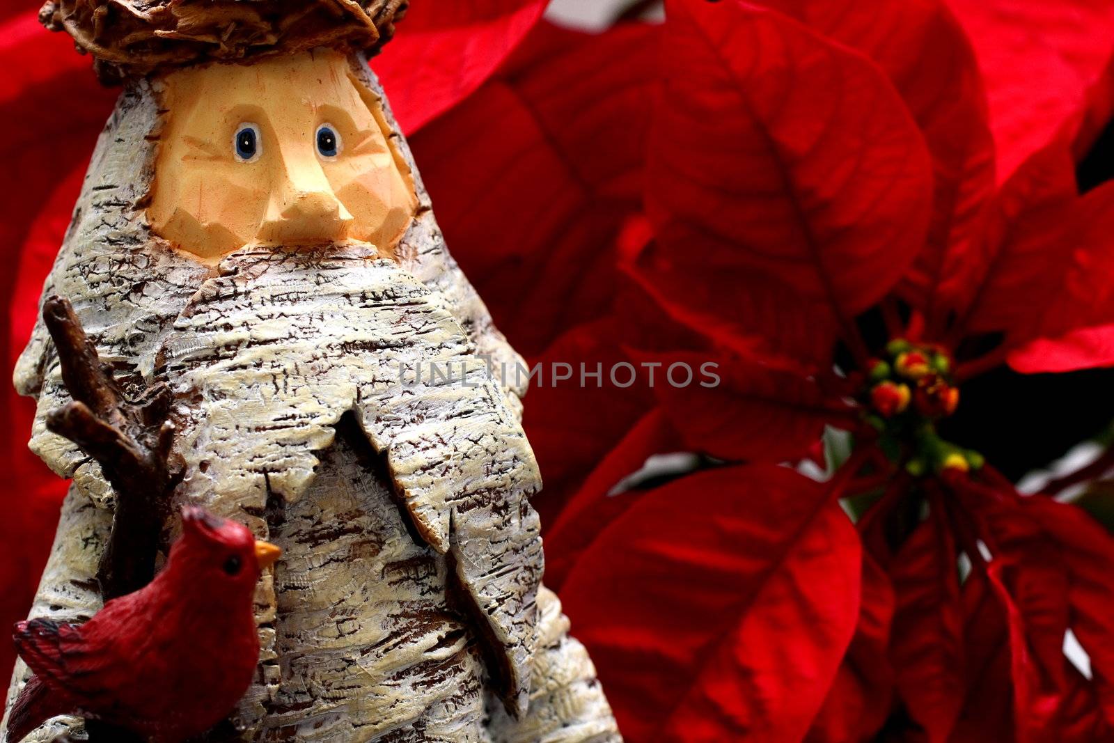 Wooden Statue of Santa Claus with Poinsettia backdrop