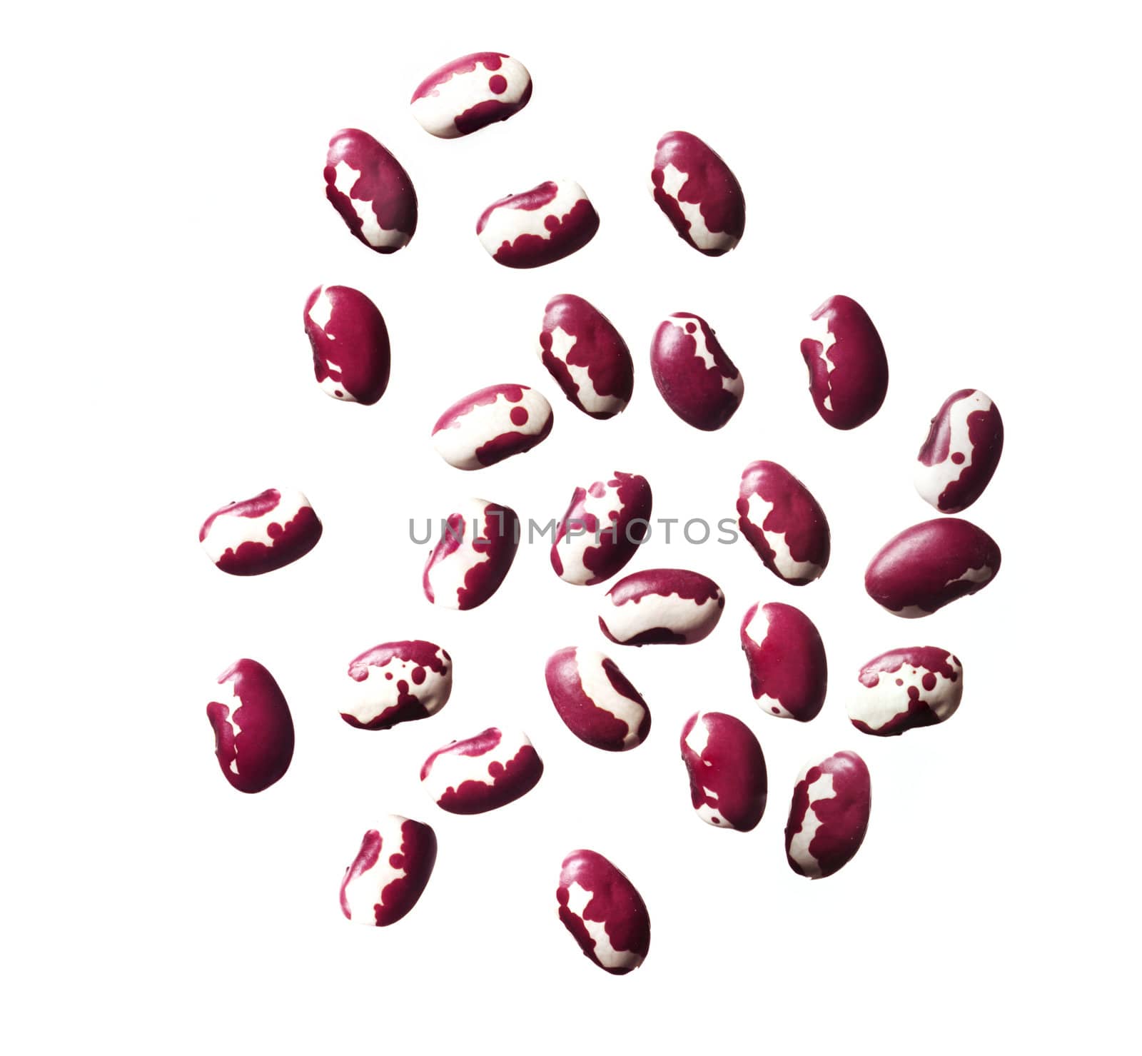 dried beans on white background by ozaiachin