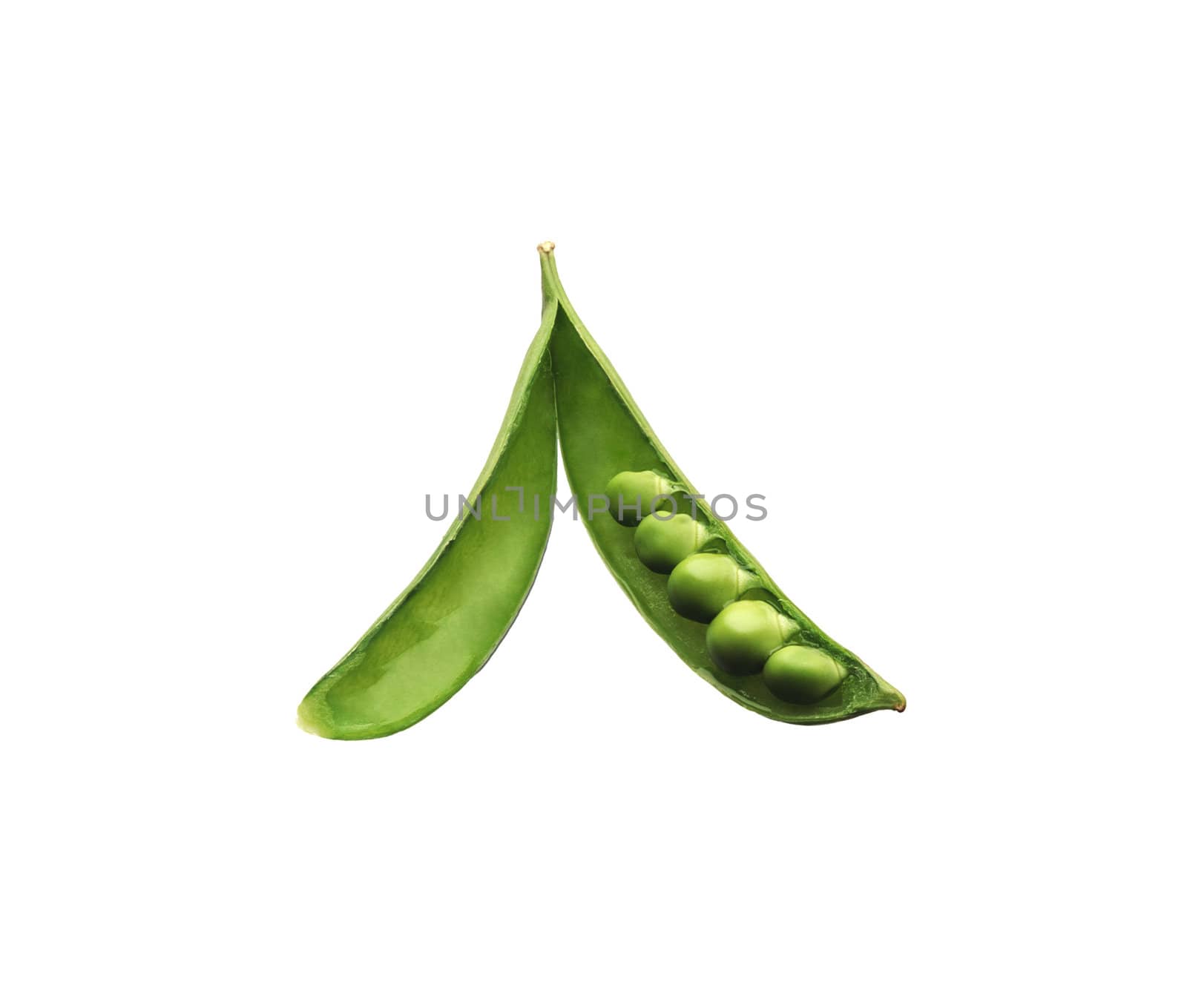 peas isolated on white