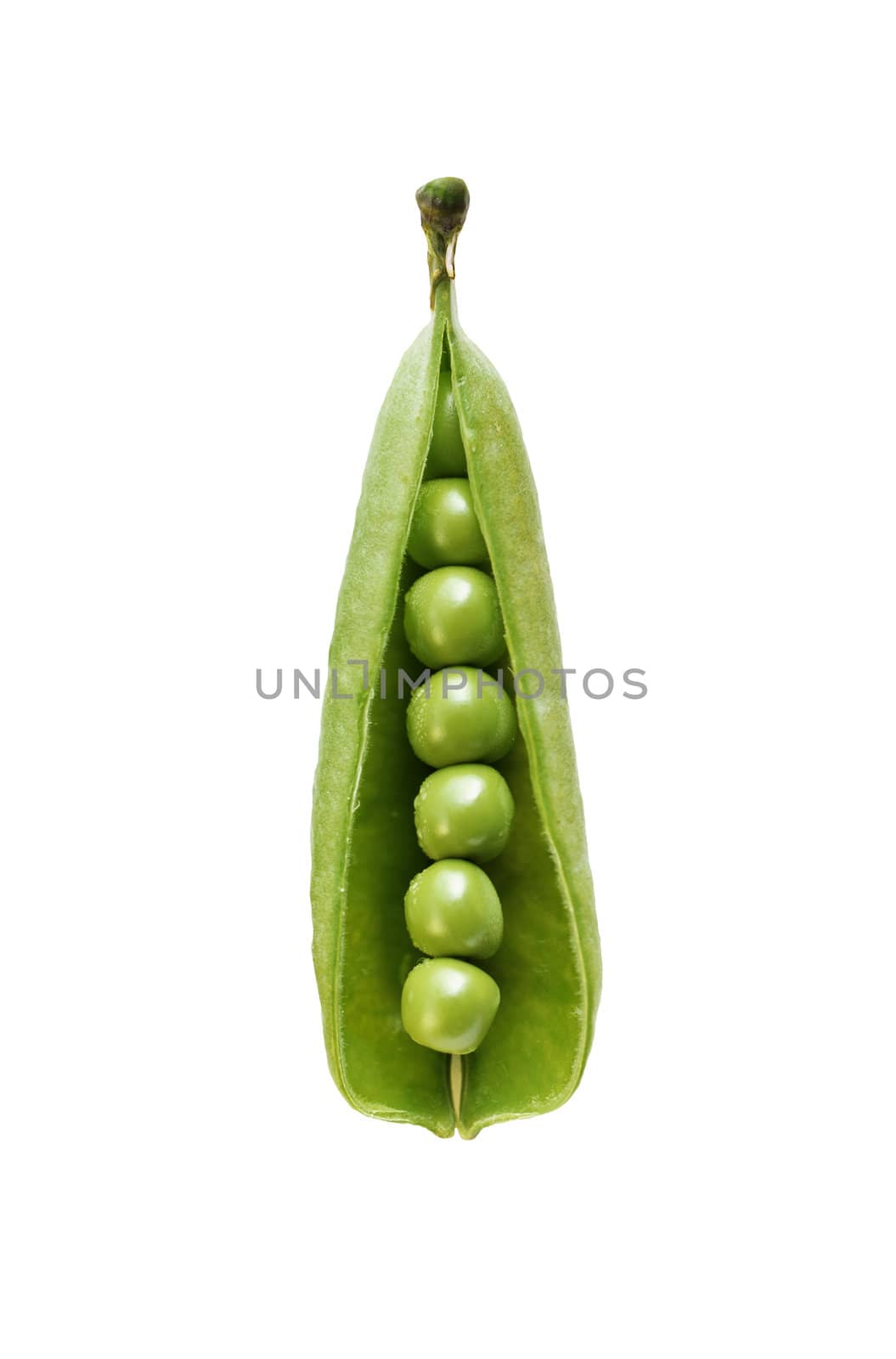 ripe green peas in the shell on a white background