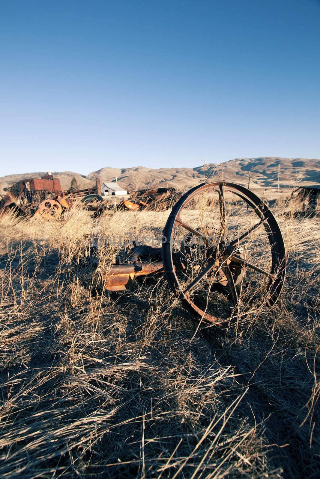 old rusty farm equipment in the middle of a field