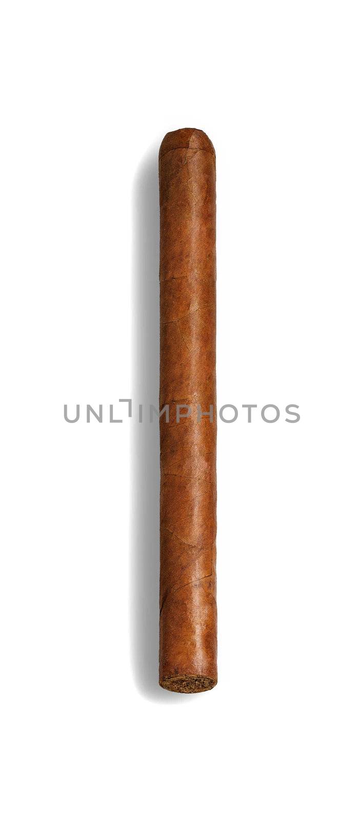 isolated long elegant brown cigar