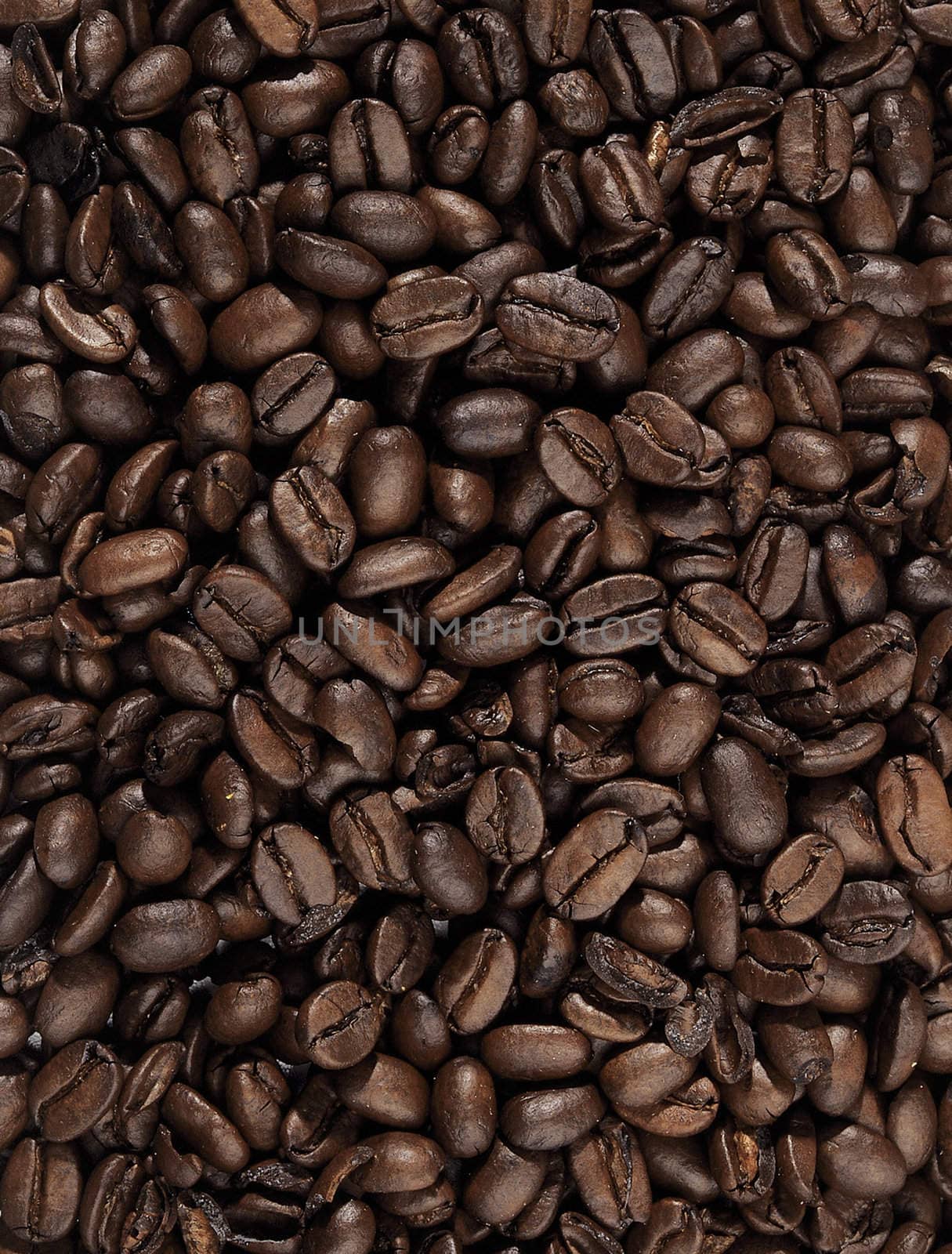 Background from coffee beans and texture also