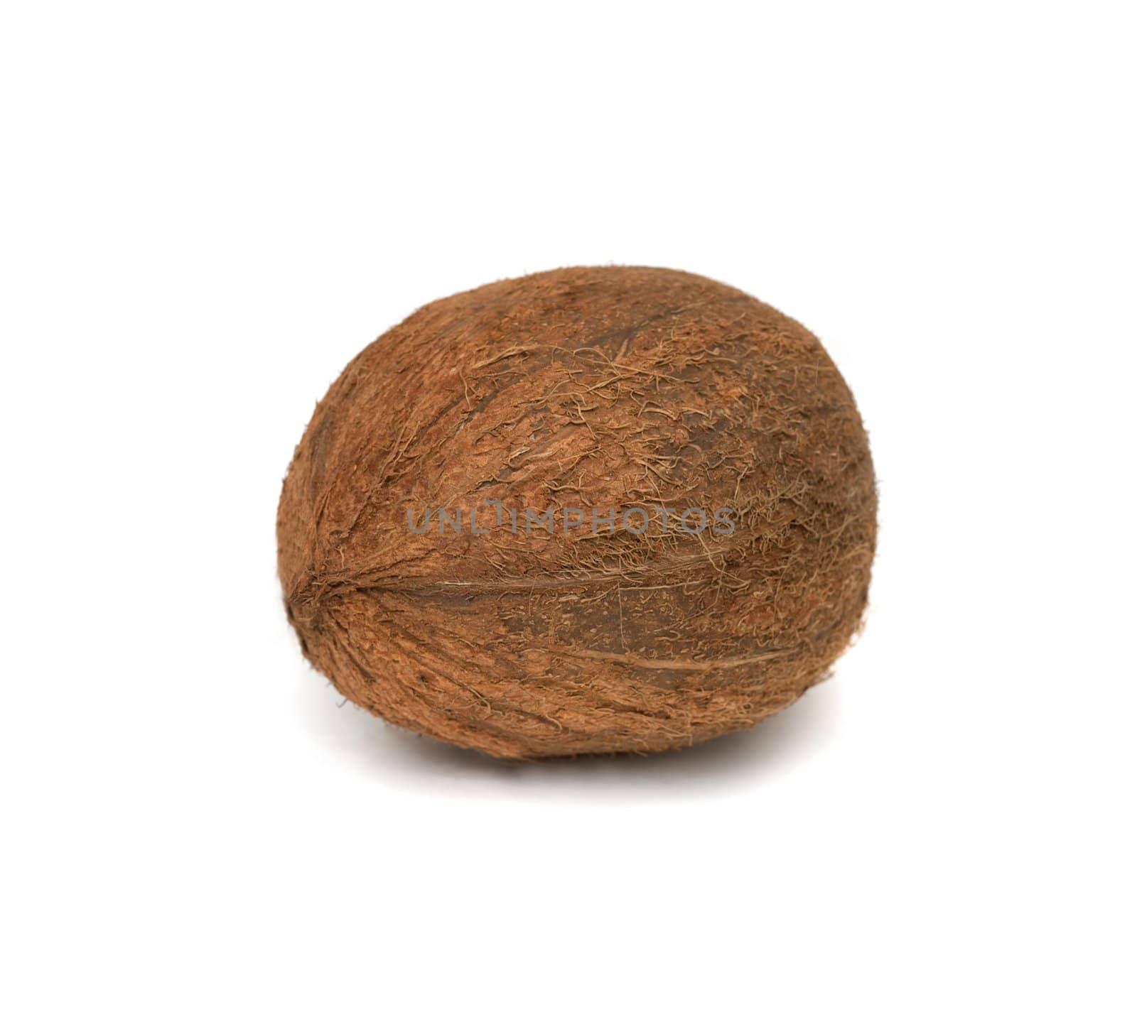 coconut isolated on white