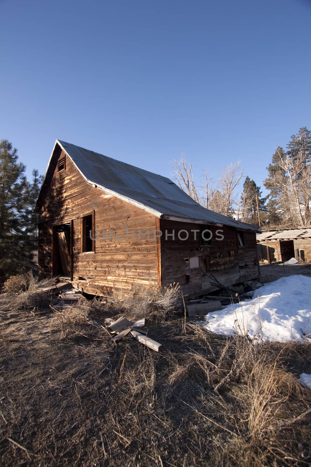 an old abandoned barn or cabin in the forest