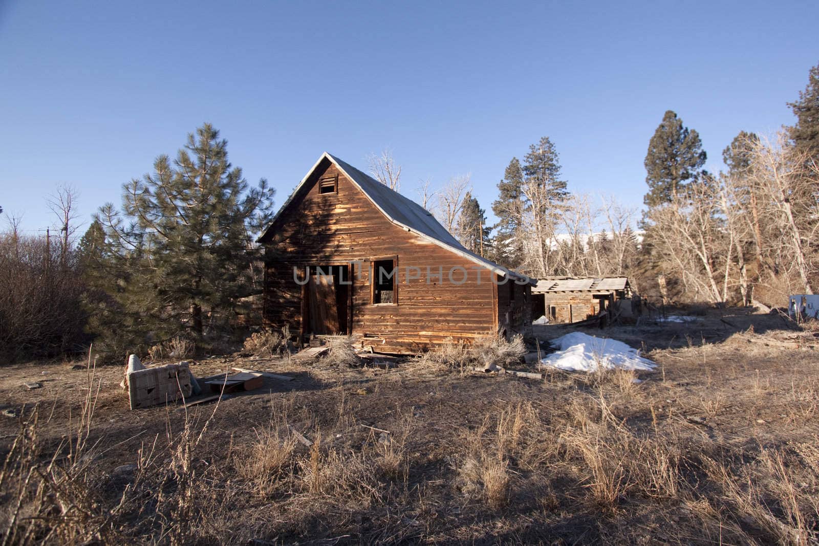 an old abandoned barn or cabin in the forest