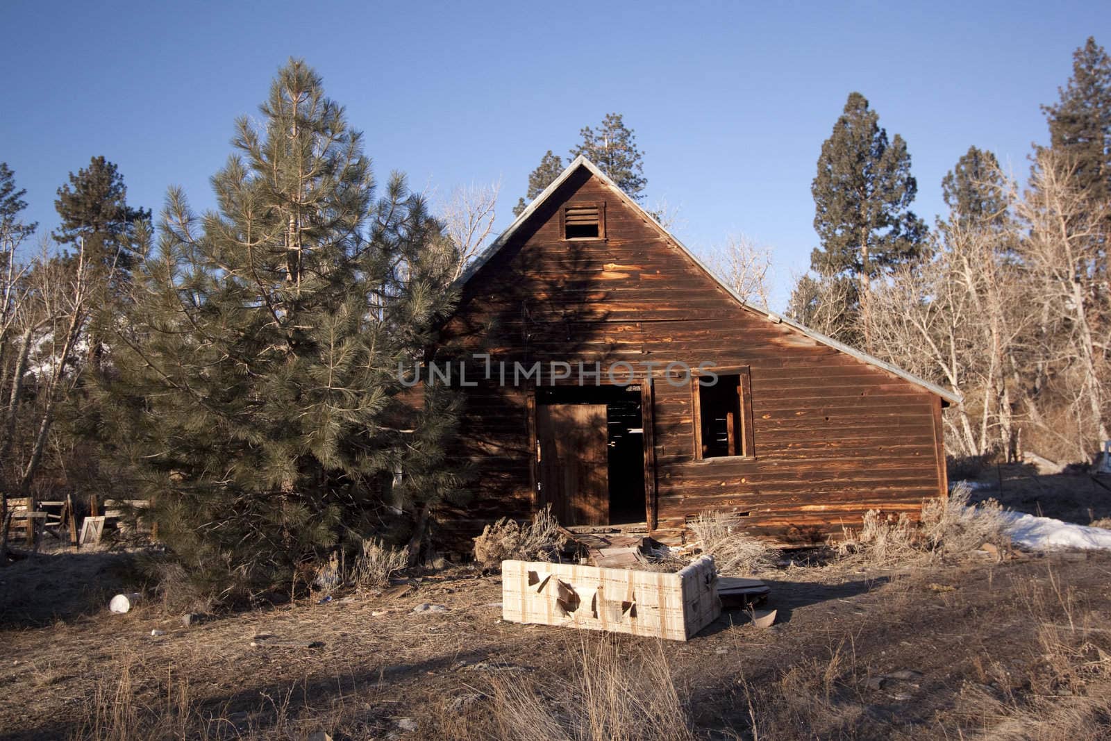 an old abandoned barn or cabin in the forest