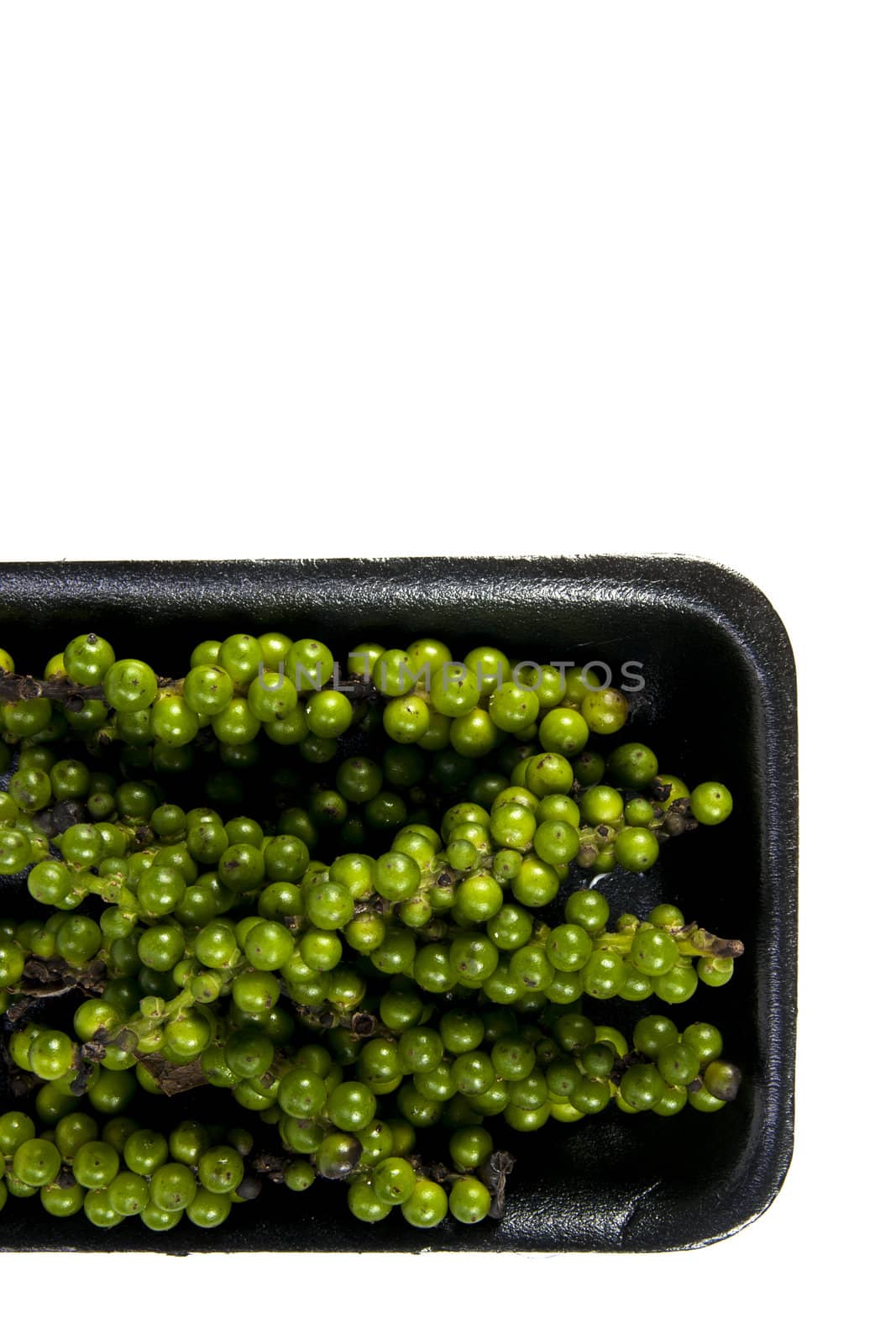 Green pepper cone with black plate on the white background and blank text copy space