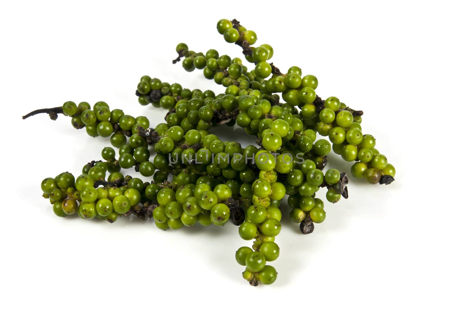 Green pepper cone on the white background