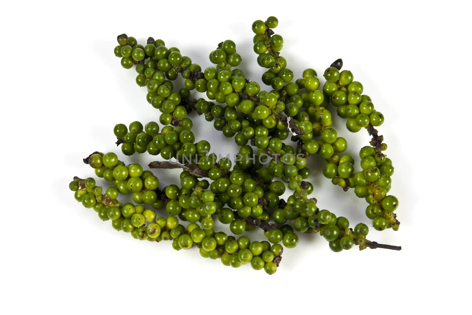 Green pepper cone on the white background