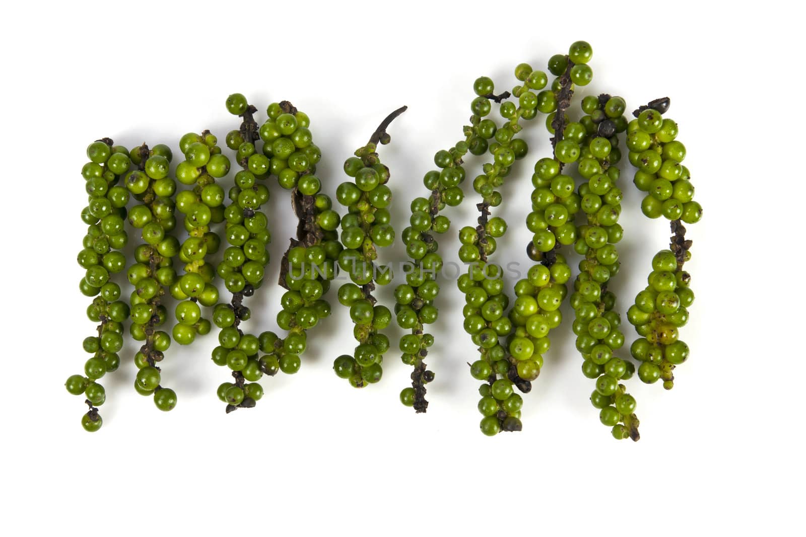 Green pepper cone on the white background