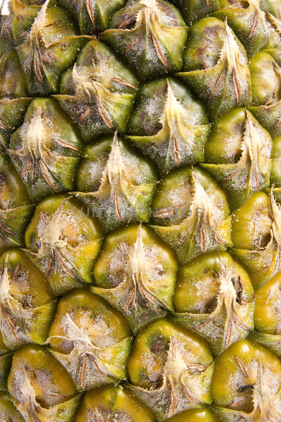 Close up of a pineapple tropical fruit, detail and texture