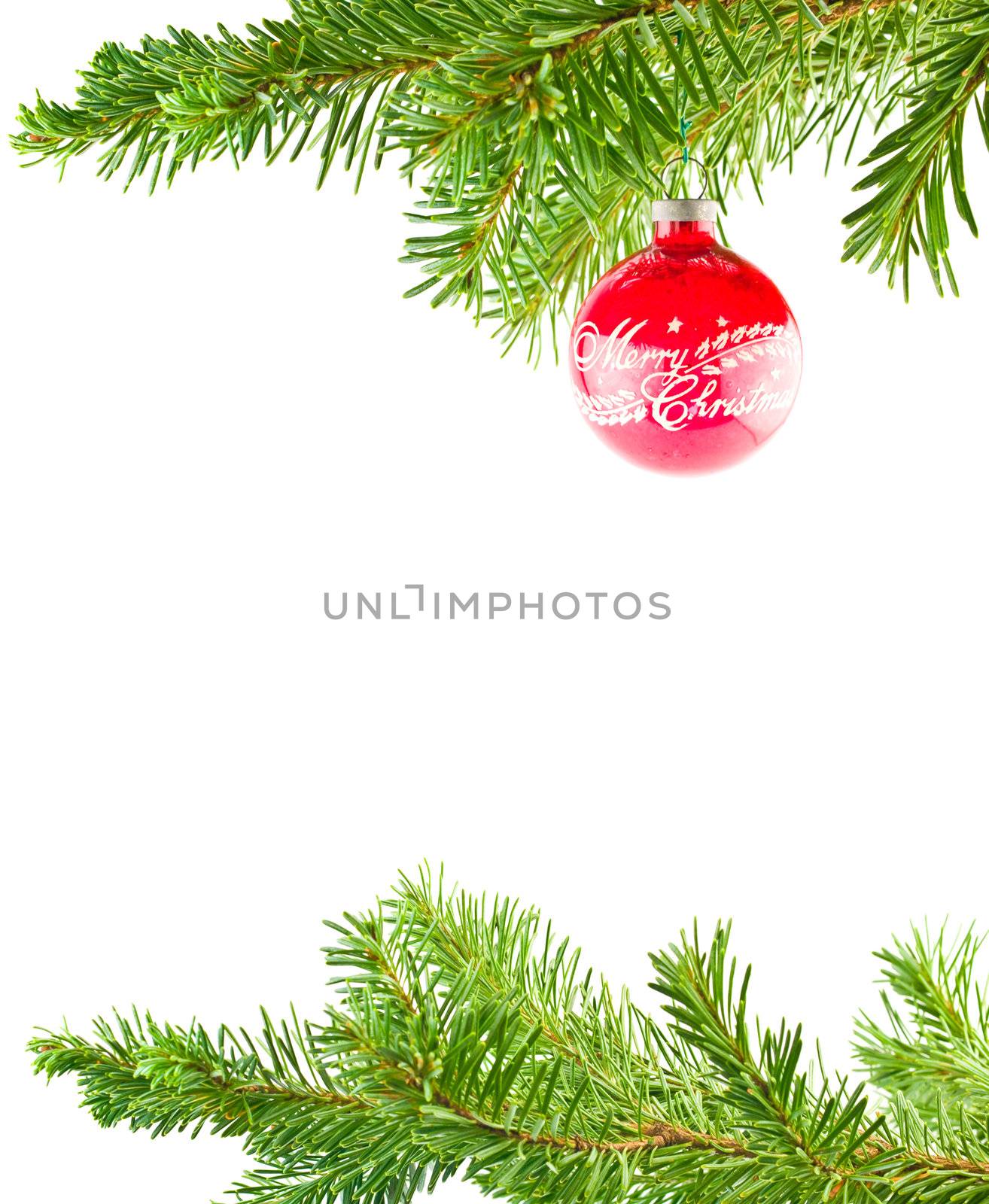 Christmas Tree Holiday Ornament Hanging from a Evergreen Branch  by Frankljunior