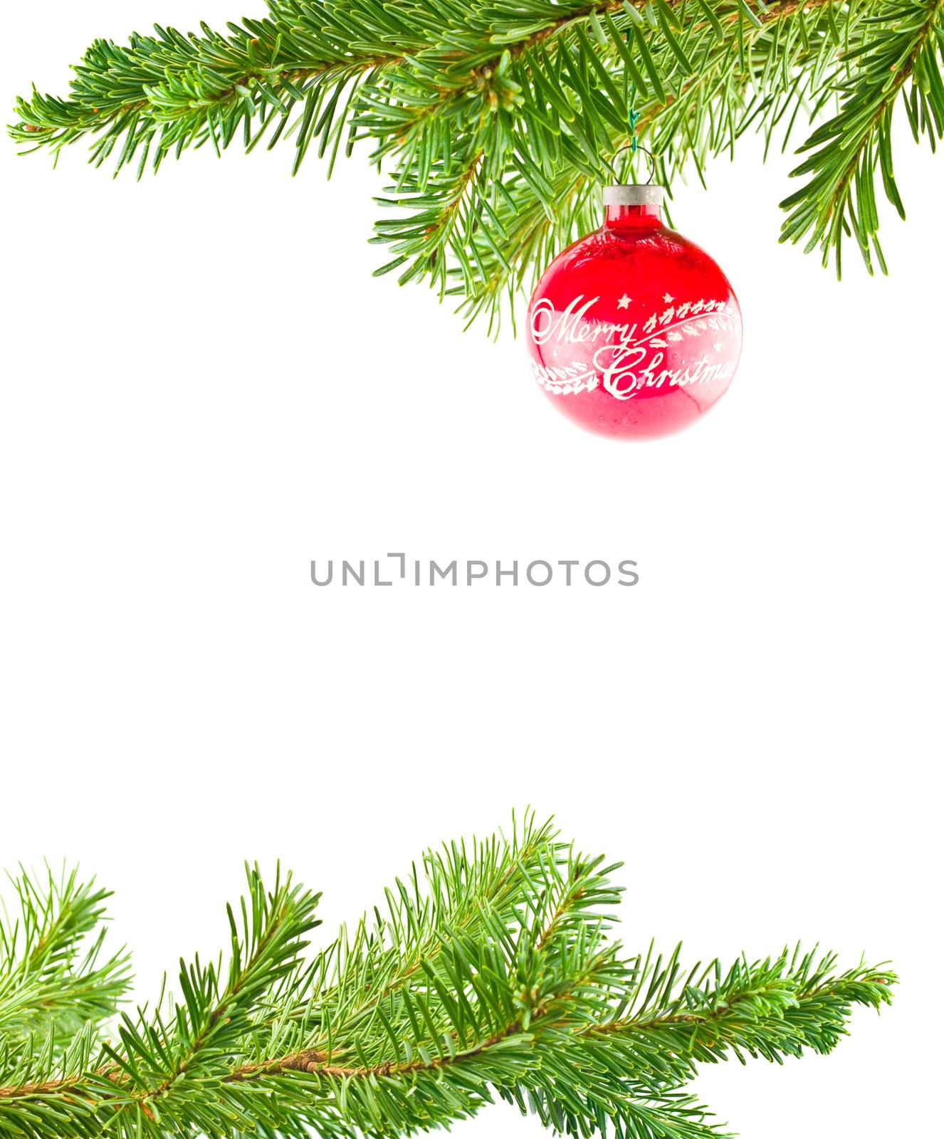 Christmas Tree Holiday Ornament Hanging from a Evergreen Branch  by Frankljunior