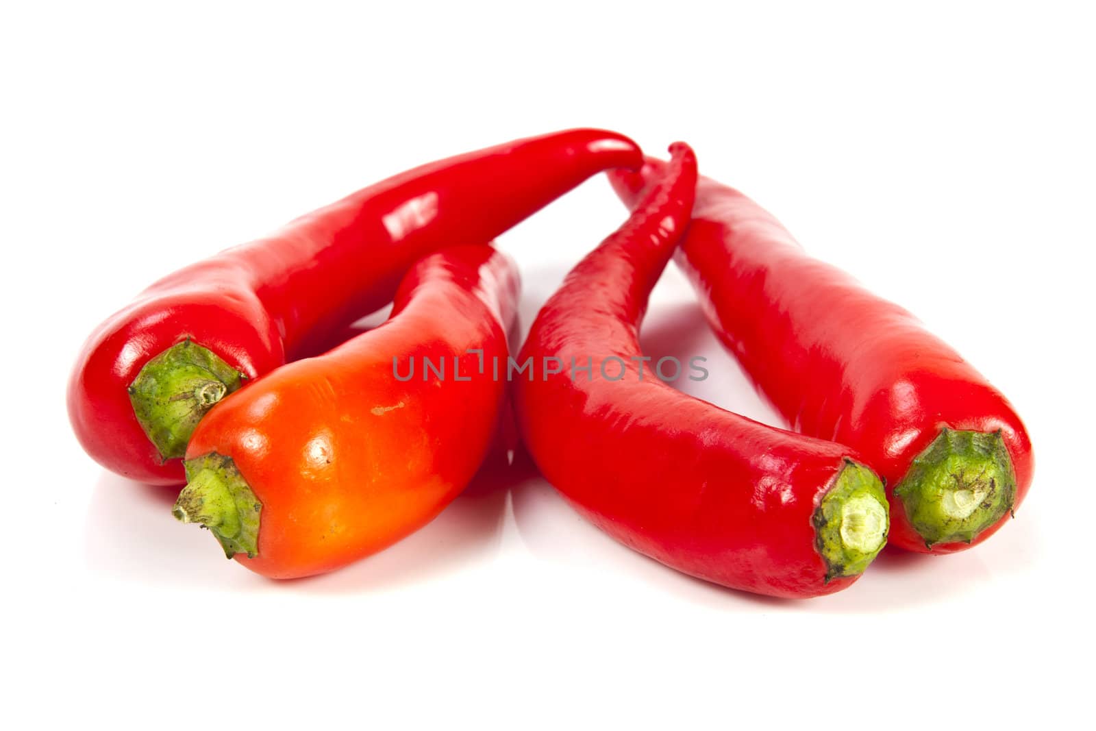 Fresh red hot pepper on a white background