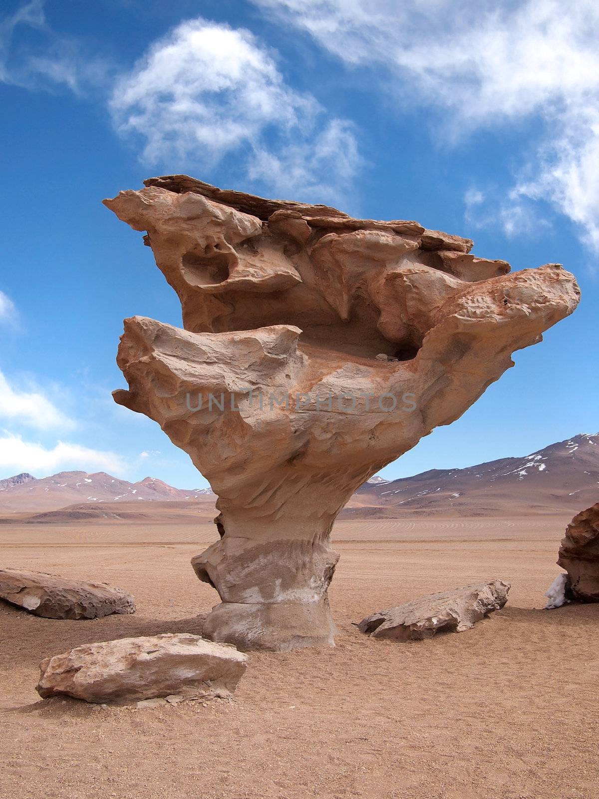 Stone tree, arbol de piedra, in the desert of Bolivia by pljvv