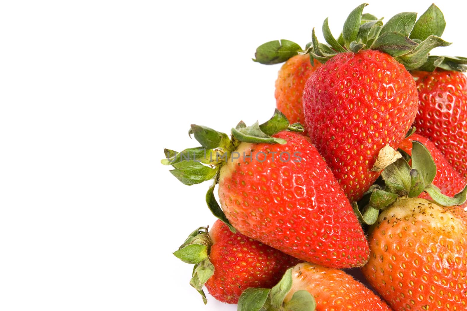 fresh strawberries isolated on white with soft shadow.