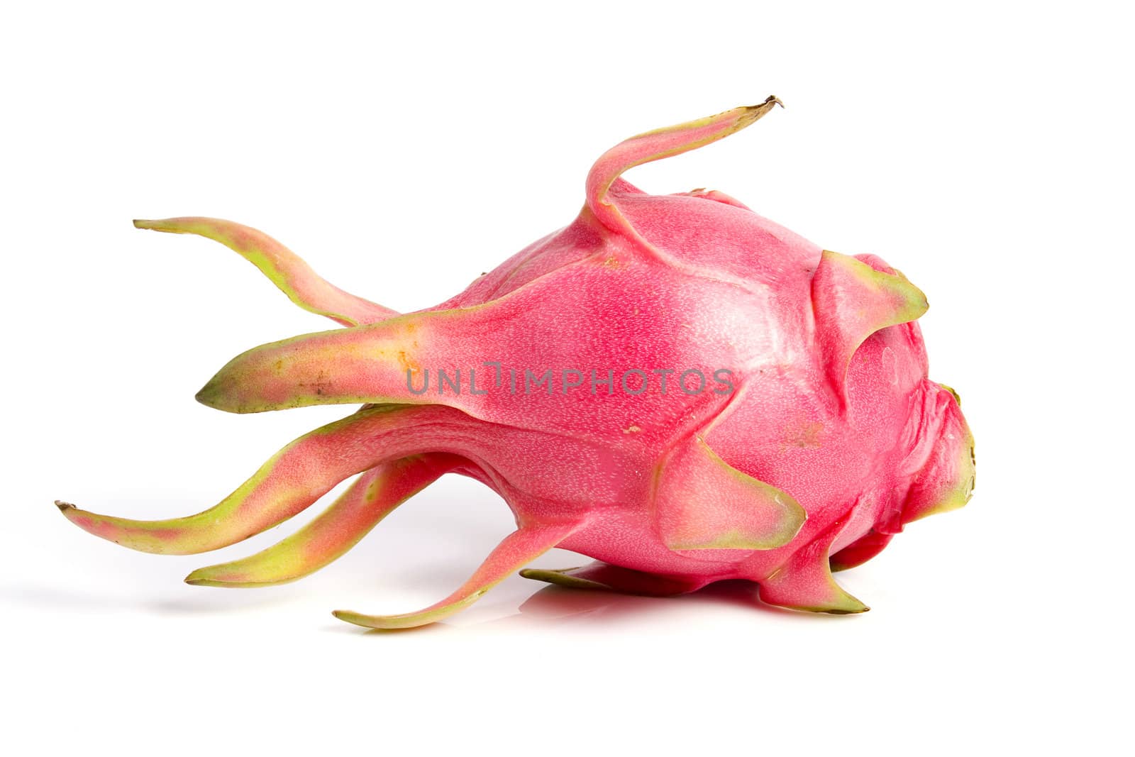 Dragon fruit on isolated by posterize