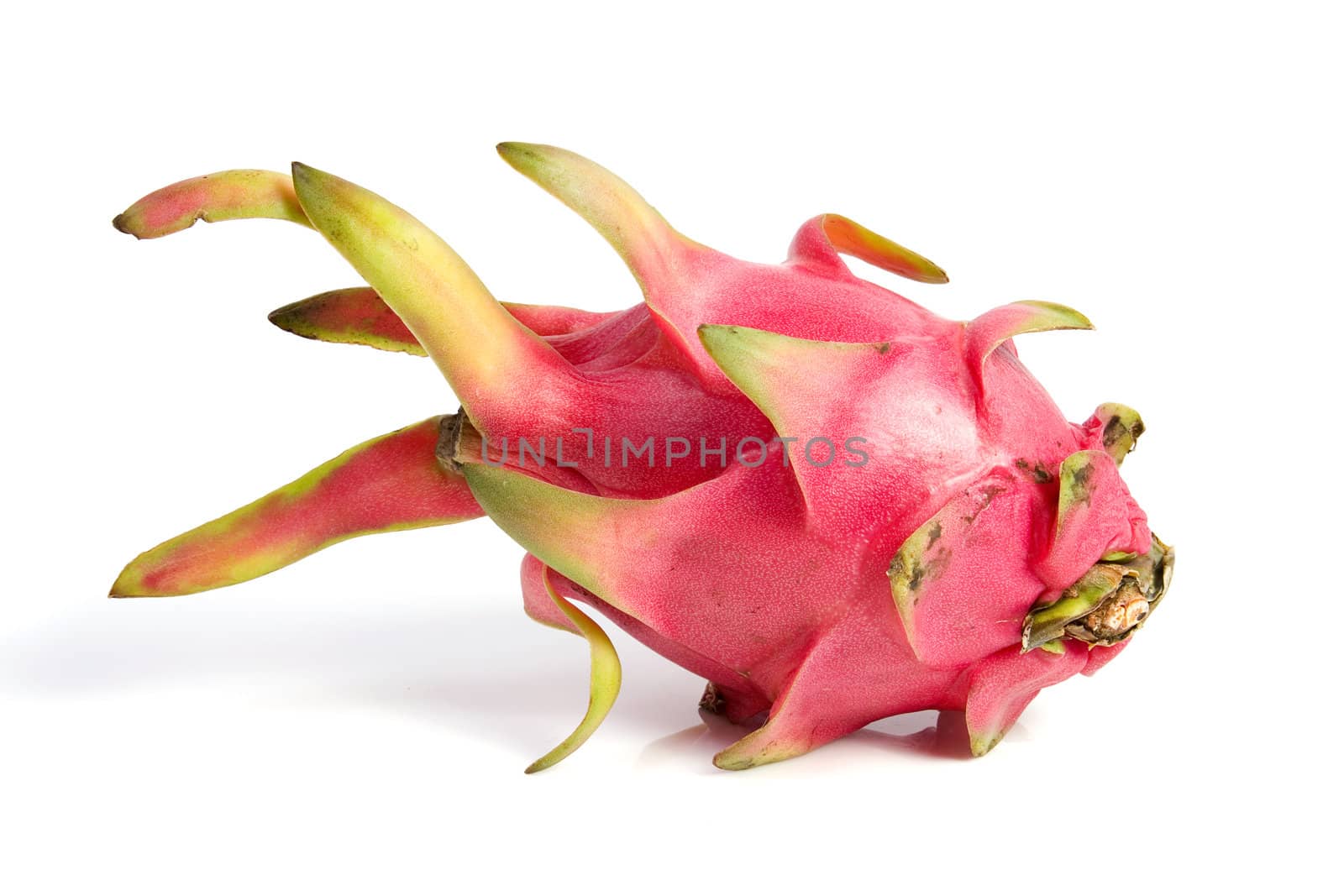 Tropical dragon fruit on isolated