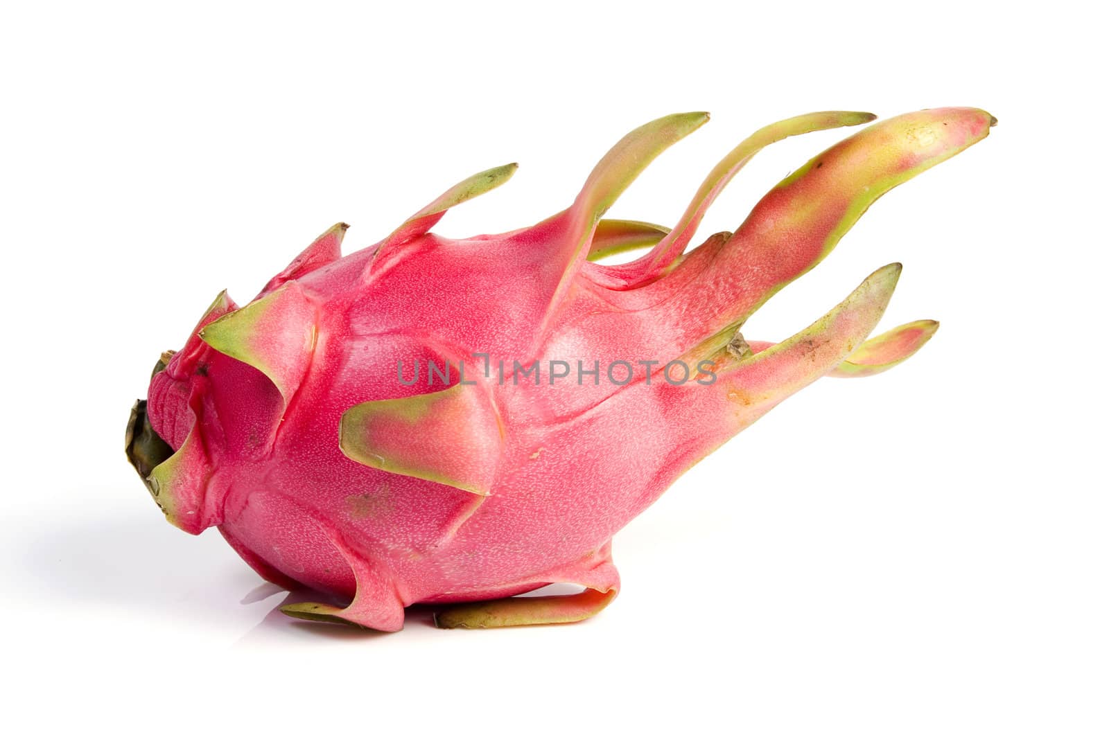 Dragon fruit on isolated by posterize