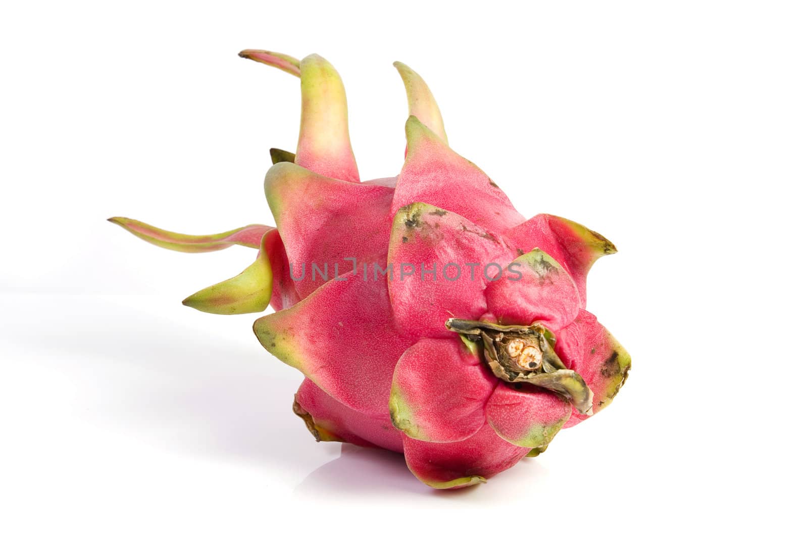 Tropical dragon fruit on isolated